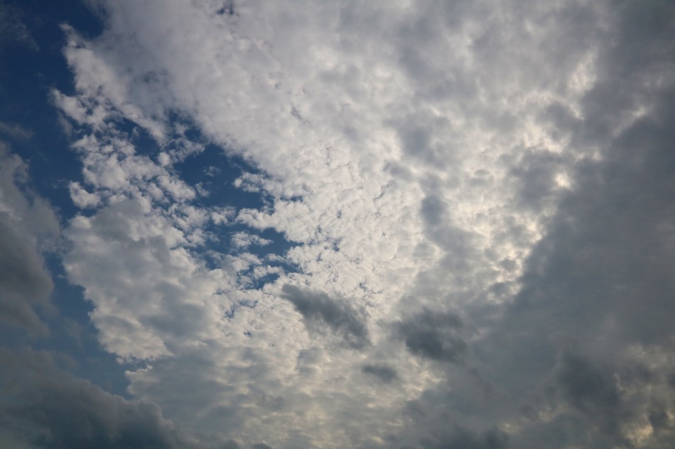 e0372207_17385813.jpg