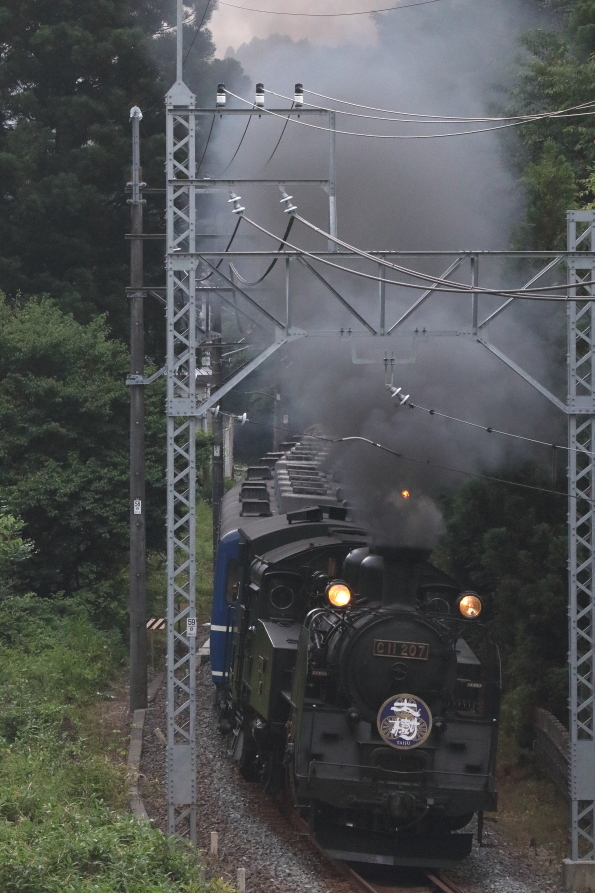 お立ち台でどかんとどアップ　- 2017年・東武鬼怒川線試運転 -_b0190710_18322805.jpg