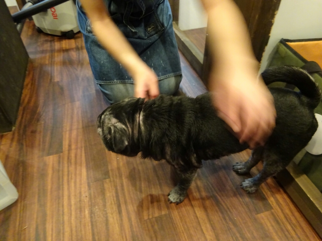 お泊まりブログ！！_b0130018_19295677.jpg