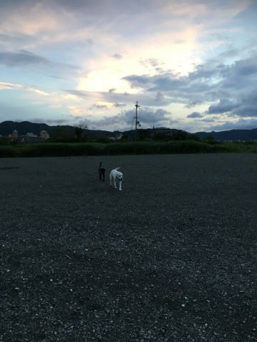 c0114121_0202478.jpg