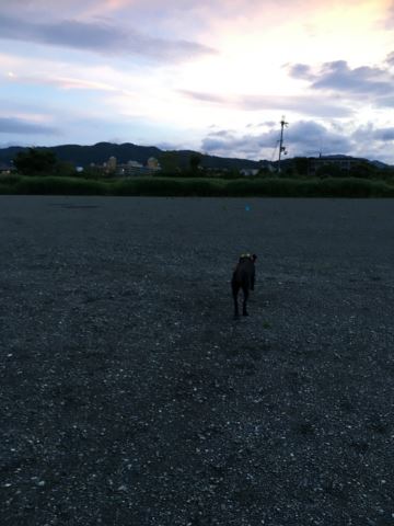 c0114121_0213349.jpg