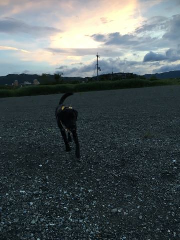 c0114121_0214078.jpg