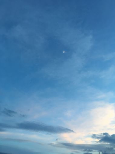c0114121_025954.jpg