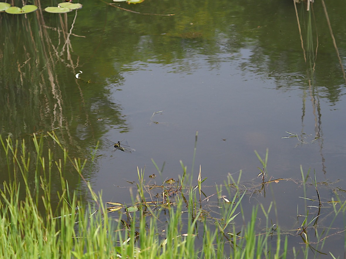 d0303129_219933.jpg