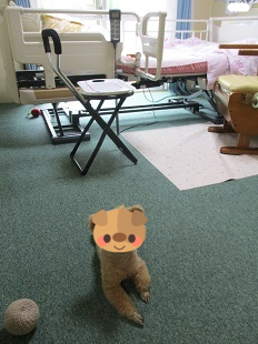 風呂なし一週間_b0320131_11144763.png