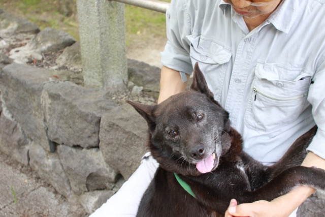 一つ森公園でジャンティちゃんとお散歩_b0031538_2261981.jpg