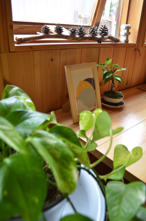 暑中お見舞い申し上げます。_b0207642_1146573.jpg