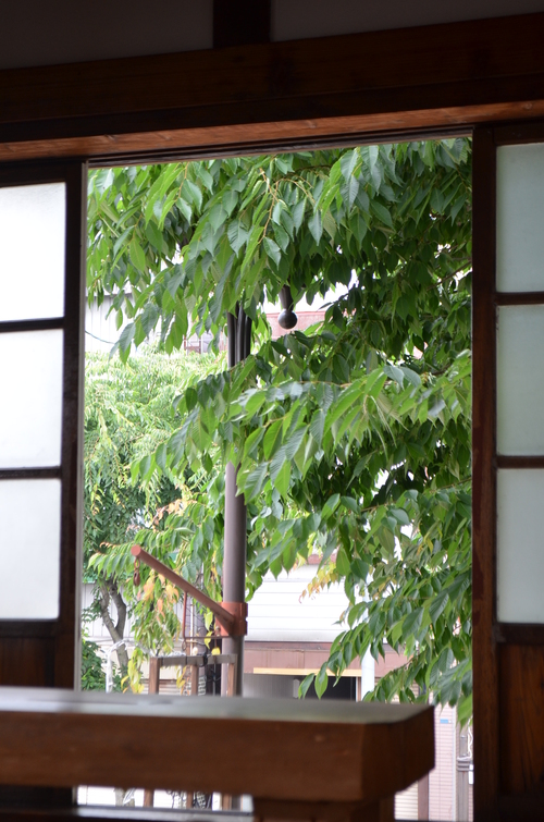暑中お見舞い申し上げます。_b0207642_114701.jpg