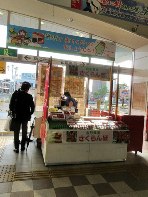 【大人の休日倶楽部パス旅】③車窓を眺めながら米沢まで_b0009849_16225881.jpg