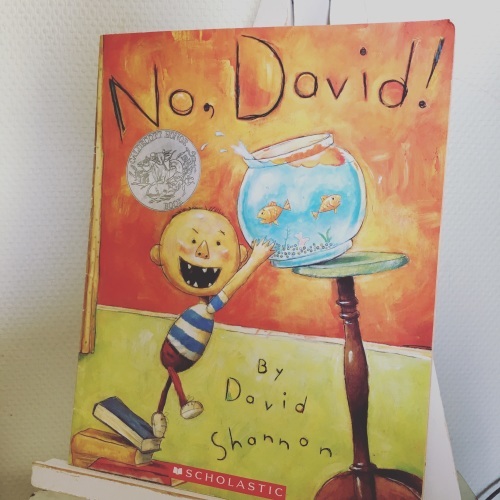 あじさいお勧めの絵本 \"No, David!\"_d0345169_15332658.jpg