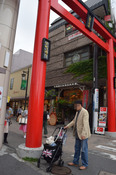 b0242873_11210279.png