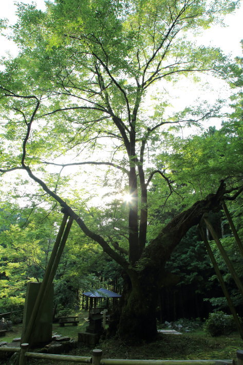 c0358784_18515460.jpg