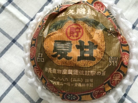 b0336787_01142365.jpeg