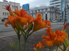 b0192588_9275176.jpg