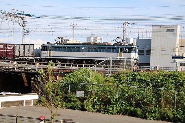 d0181492_21250577.jpg