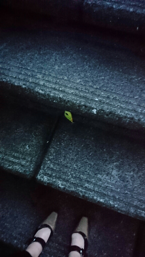 a0323194_09451520.jpg
