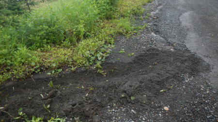 道路補修作業_e0120896_07420235.jpg