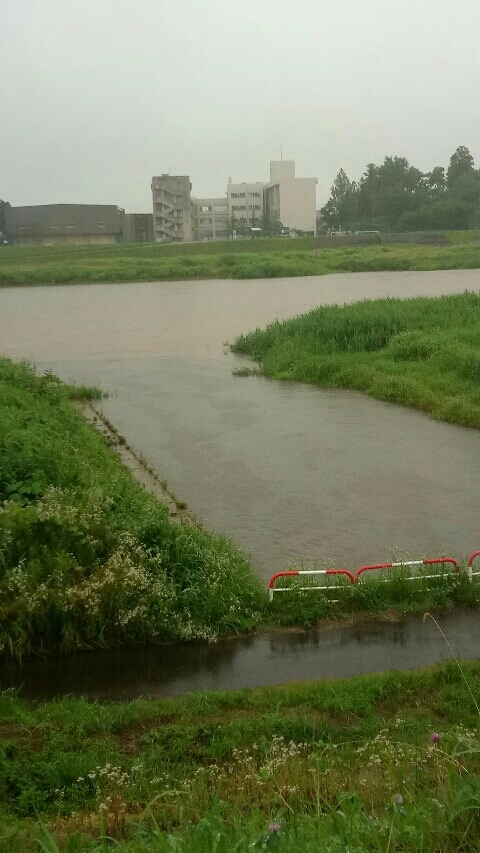 20170701 【自然】大雨・洪水警報_b0013099_11285930.jpg