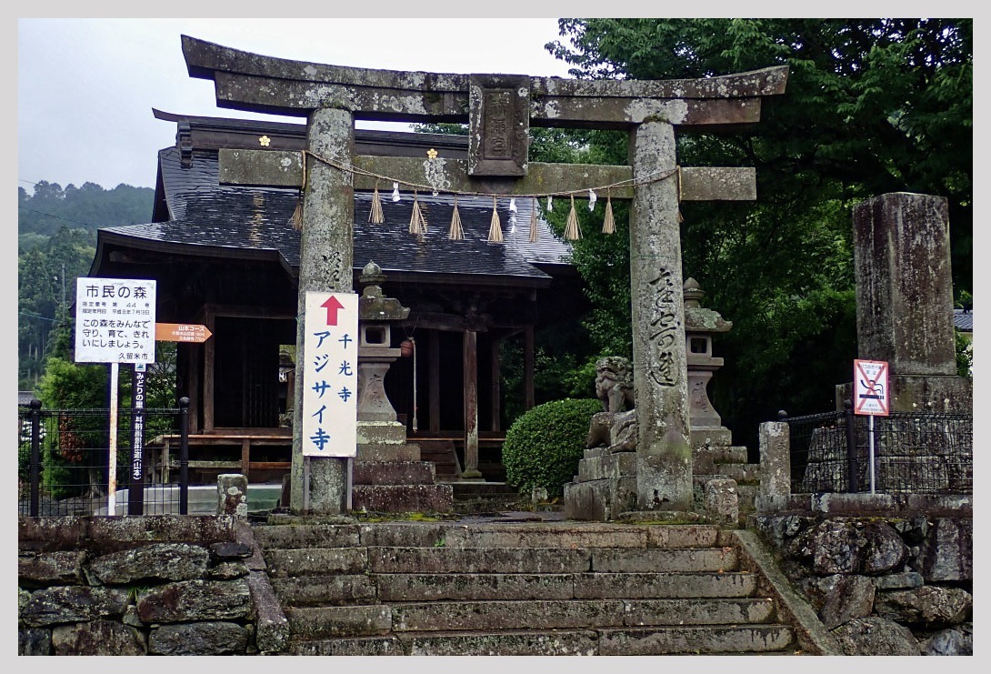 福岡 久留米あじさい寺 千光寺 Magの写真創庫
