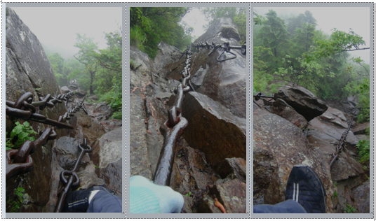 f0231709_12060291.png