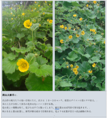 f0231709_12072425.png