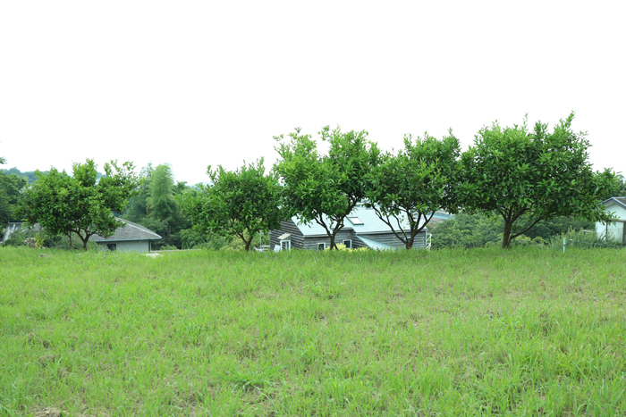 e0034013_17465374.jpg