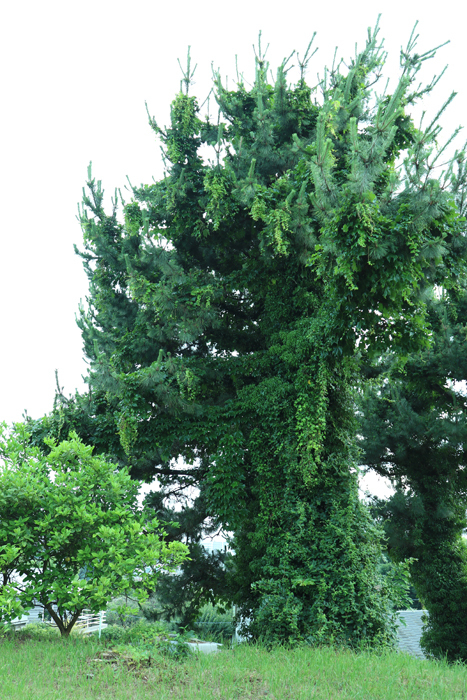 e0034013_17591208.jpg