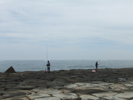 海岸を散歩_b0137932_13531610.jpg