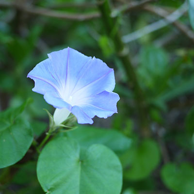 b0035734_17084220.jpg