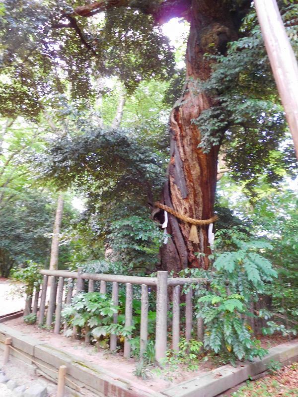 京都「下鴨神社」に参拝20170607_e0237645_01440441.jpg