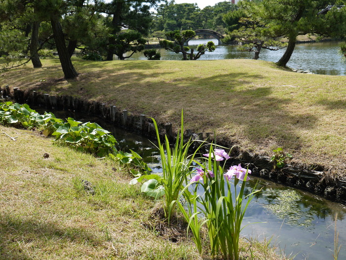 　　名勝・観光地　養翠園（ようすいえん） 　　_b0093754_20155130.jpg