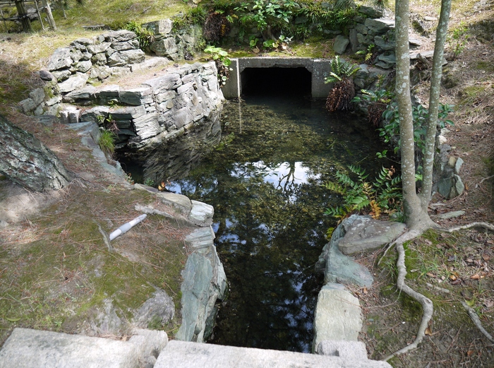 　　名勝・観光地　養翠園（ようすいえん） 　　_b0093754_2016121.jpg