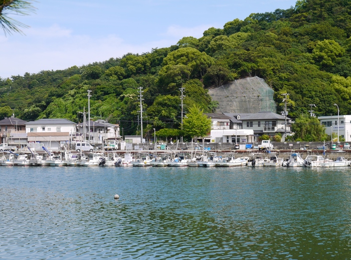 　　名勝・観光地　養翠園（ようすいえん） 　　_b0093754_20162480.jpg