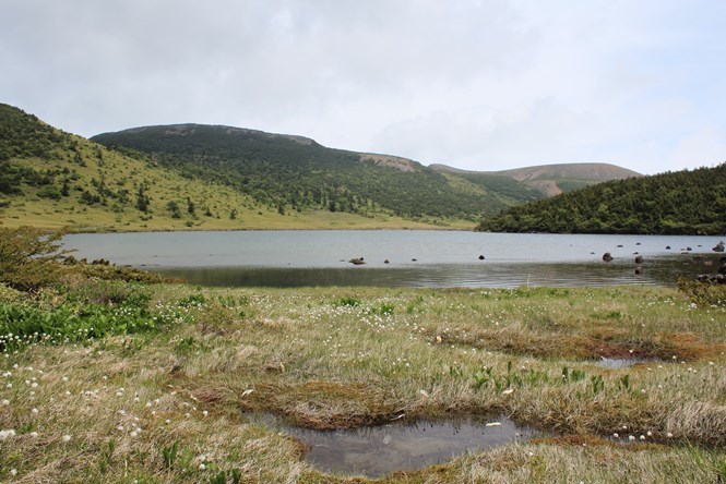 e0239458_16011114.jpg