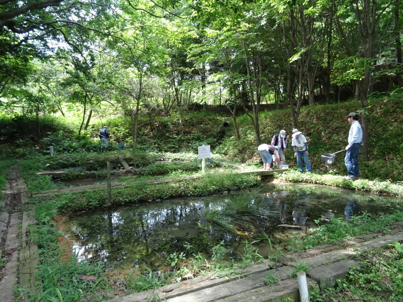 c0108460_22321984.jpg