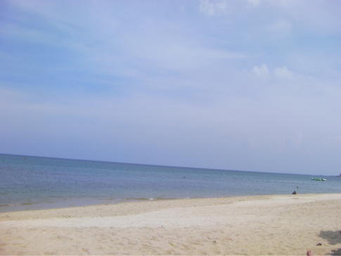 b0369486_22260454.jpg