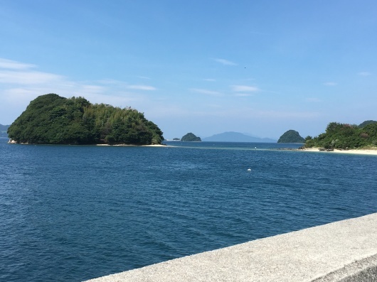 b0336787_21355204.jpeg