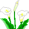 f0229190_15232047.gif