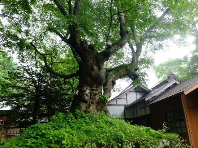 軽井沢から碓氷峠へ赤バスで行ってみる_f0100593_18004421.jpg