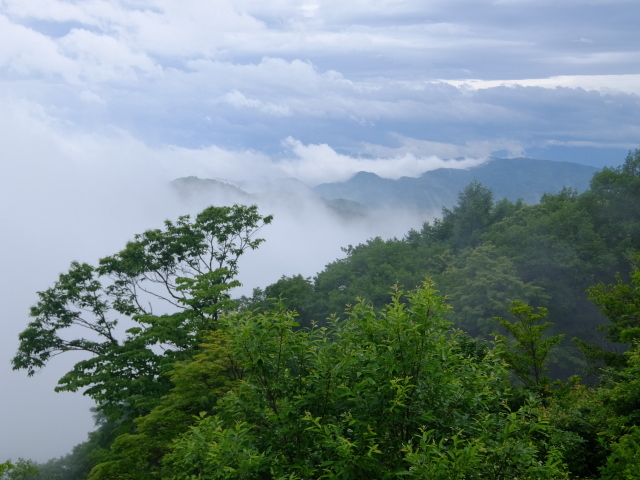 f0100593_18013531.jpg