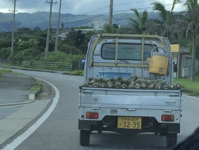 d0207297_09123646.jpeg