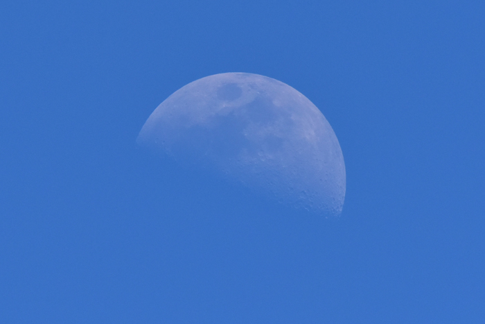 c0049299_23362038.jpg