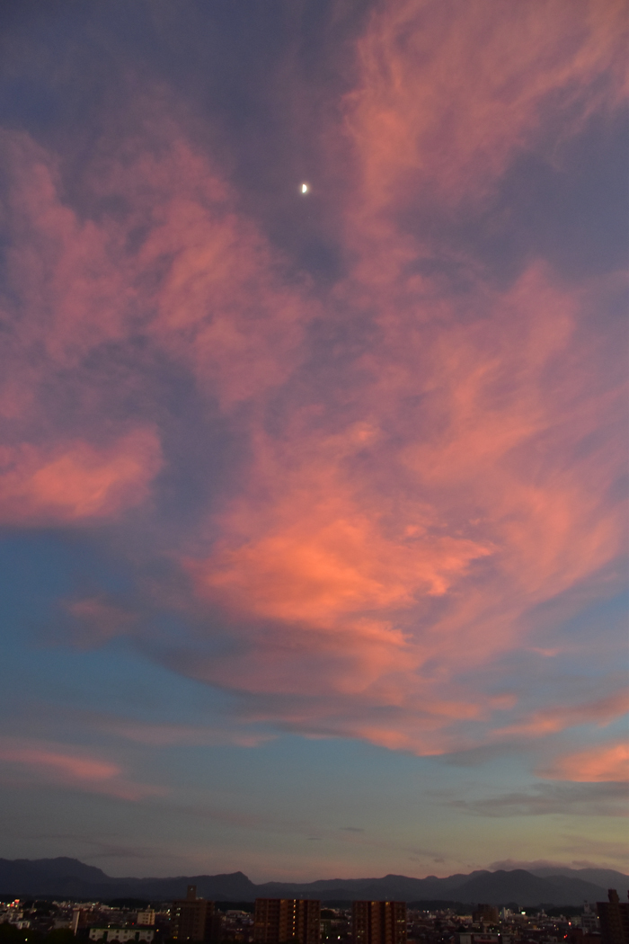 c0049299_23465142.jpg
