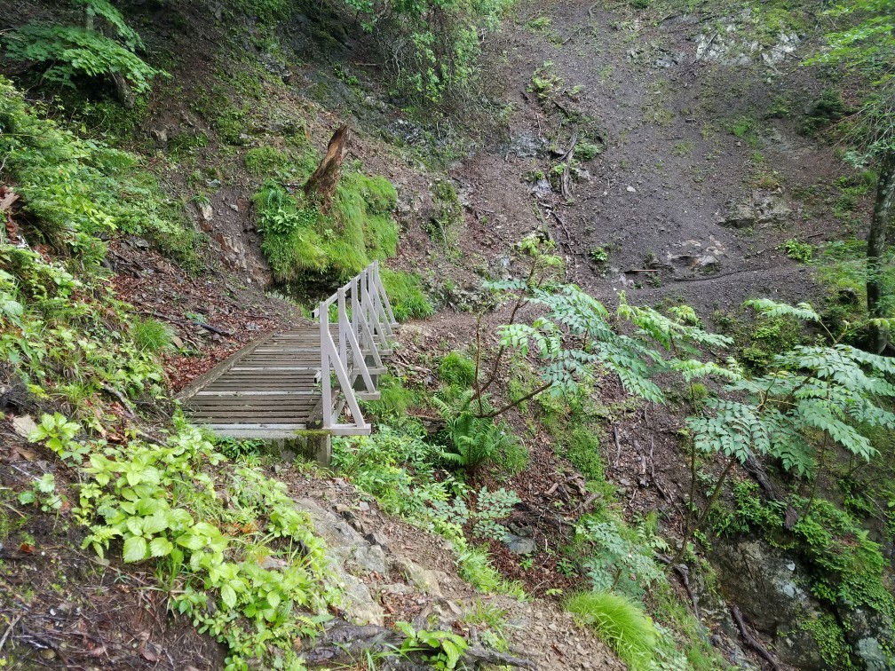 稲村ヶ岳・大日山 2017/07/01_a0320601_03291883.jpg