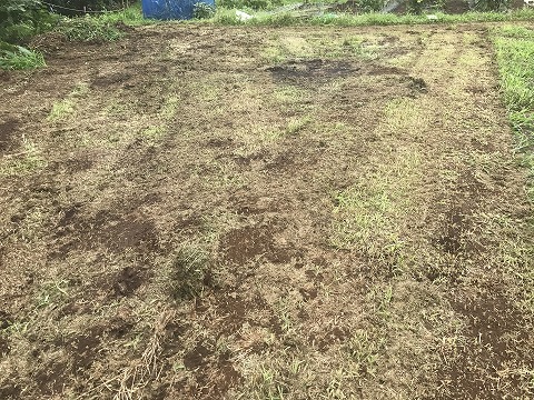 e0270403_15123189.jpg