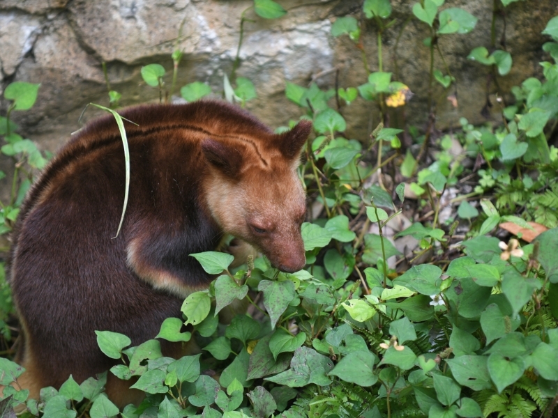 モアラと動物達の夏の始まり_a0164204_10590724.jpg