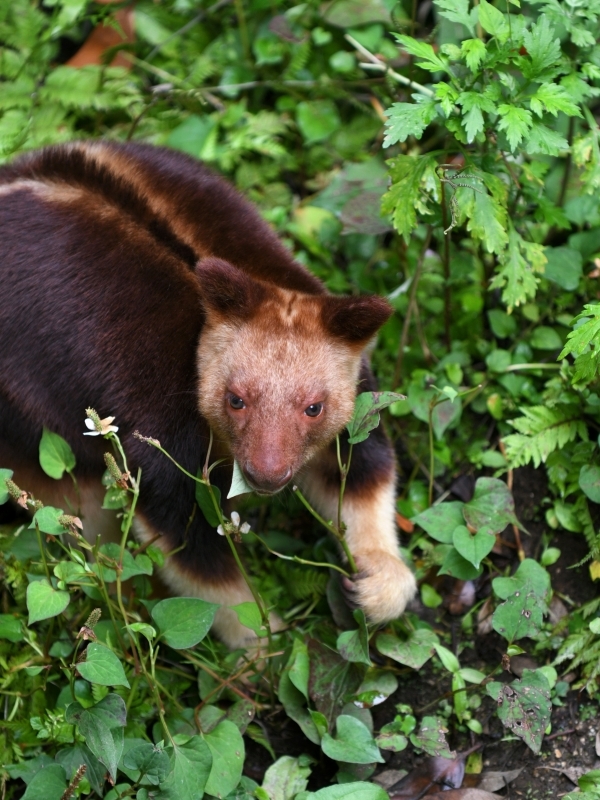 モアラと動物達の夏の始まり_a0164204_11033473.jpg