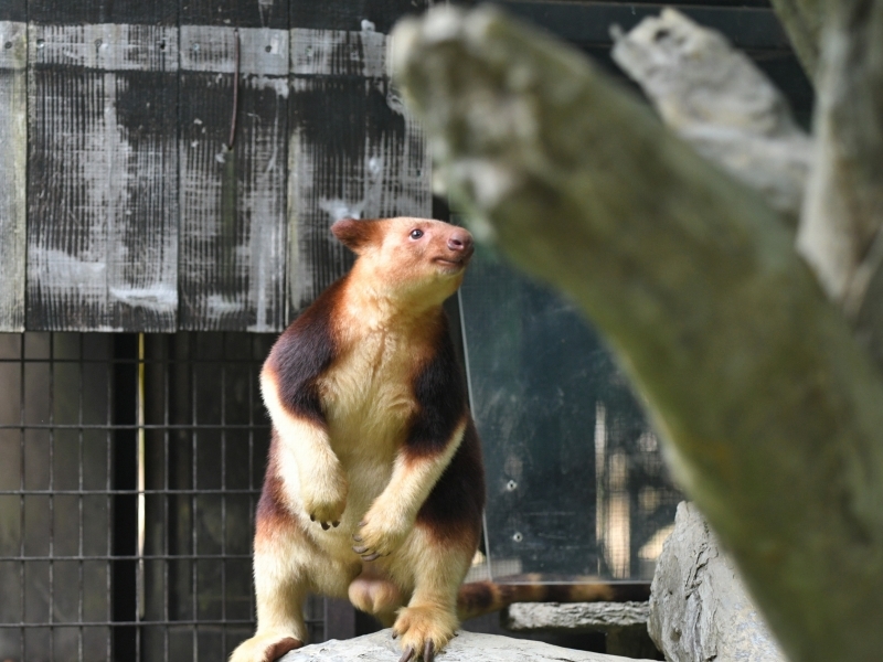 モアラと動物達の夏の始まり_a0164204_11324009.jpg