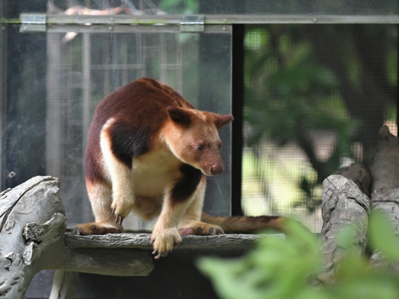 モアラと動物達の夏の始まり_a0164204_11342004.jpg