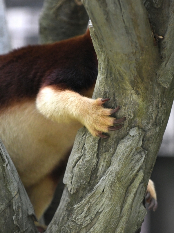 モアラと動物達の夏の始まり_a0164204_11480159.jpg